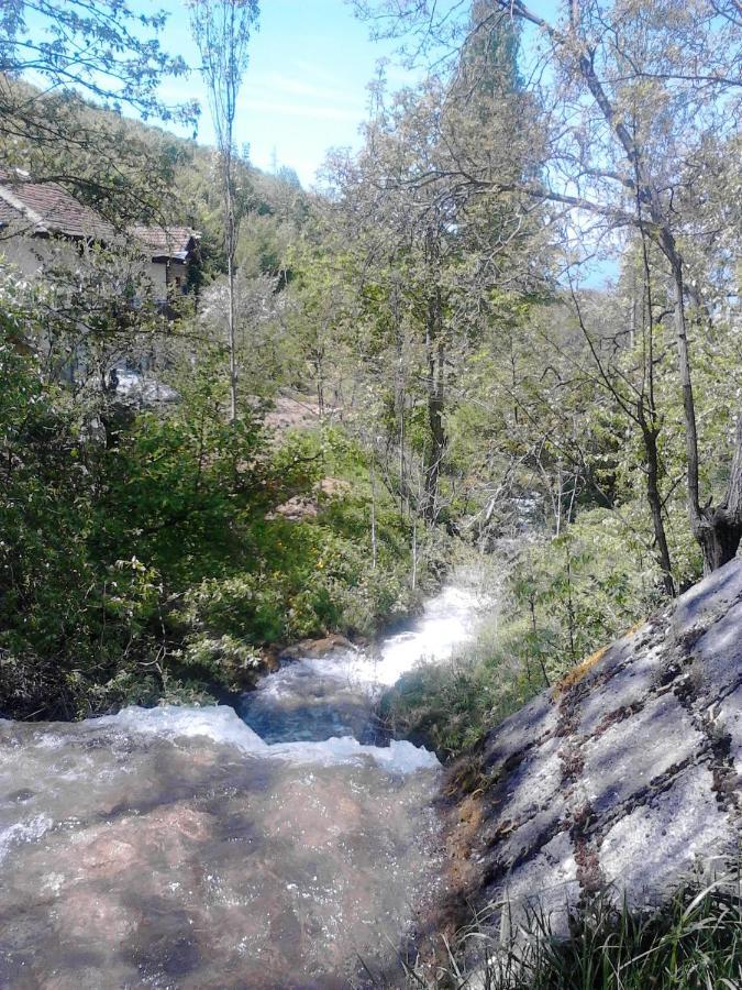 Luccia - Centre * Охрид